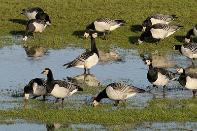 BUITEN BEELD Foto: 157725