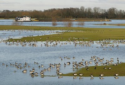 BUITEN BEELD Foto: 157727