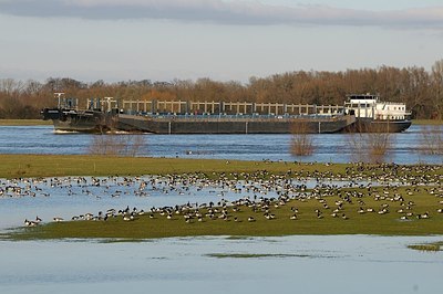 BUITEN BEELD Foto: 157729