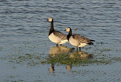 BUITEN BEELD Foto: 157731