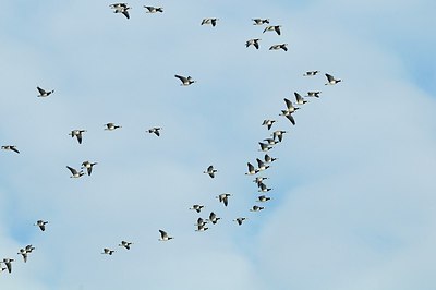 BUITEN BEELD Foto: 157732