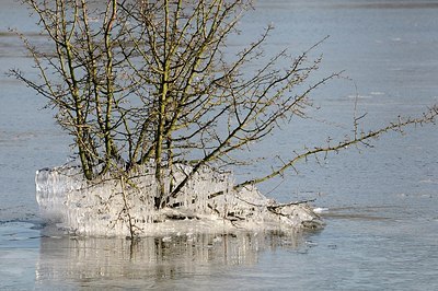 BUITEN BEELD Foto: 157742