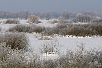 BUITEN BEELD Foto: 157744
