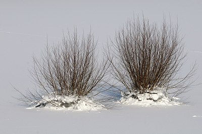 BUITEN BEELD Foto: 157747