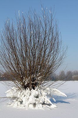 BUITEN BEELD Foto: 157749