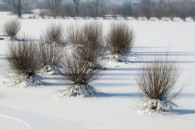 BUITEN BEELD Foto: 157751