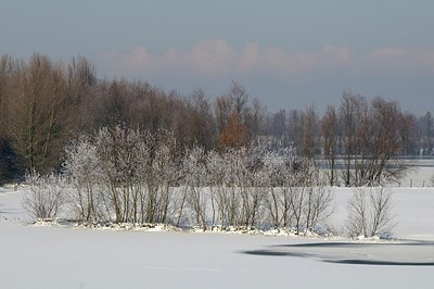 BUITEN BEELD Foto: 157752