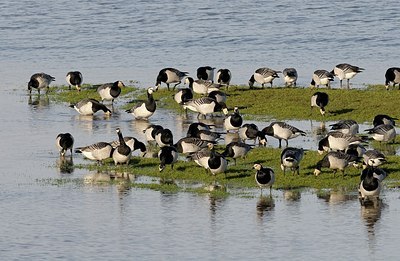 BUITEN BEELD Foto: 157754