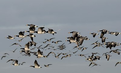 BUITEN BEELD Foto: 157755