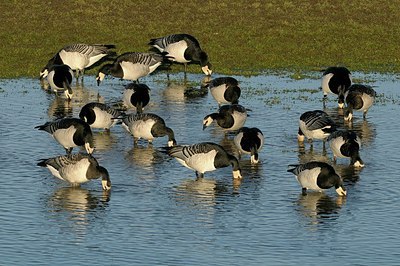 BUITEN BEELD Foto: 157763