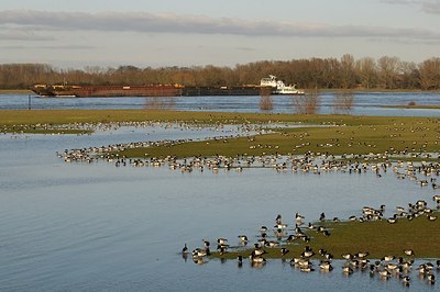 BUITEN BEELD Foto: 157764