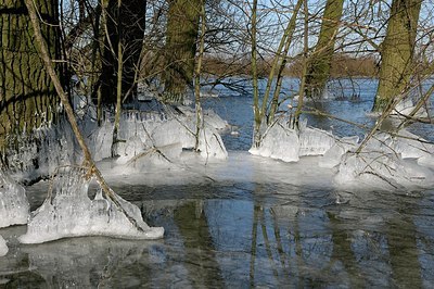 BUITEN BEELD Foto: 157781