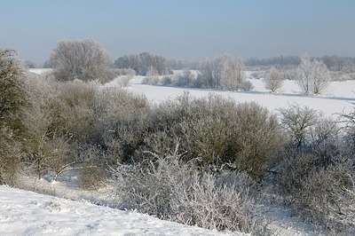 BUITEN BEELD Foto: 157782