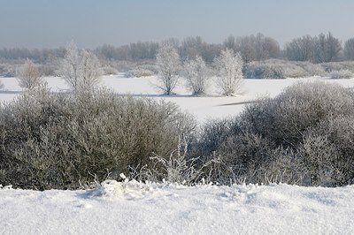 BUITEN BEELD Foto: 157783