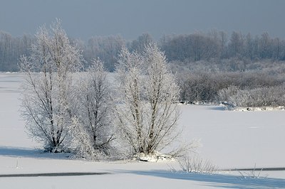 BUITEN BEELD Foto: 157784