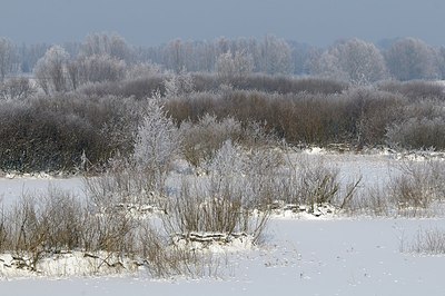 BUITEN BEELD Foto: 157786