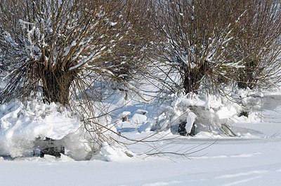 BUITEN BEELD Foto: 157789