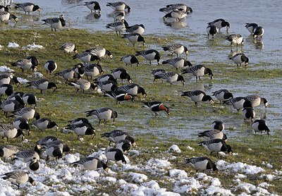BUITEN BEELD Foto: 157790