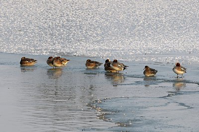 BUITEN BEELD Foto: 157791
