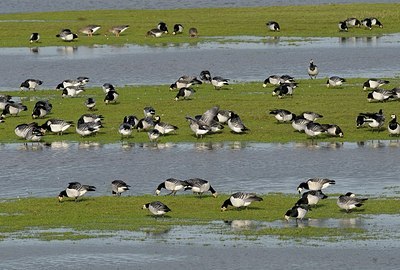 BUITEN BEELD Foto: 157801