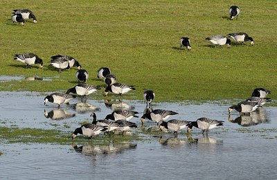 BUITEN BEELD Foto: 157802