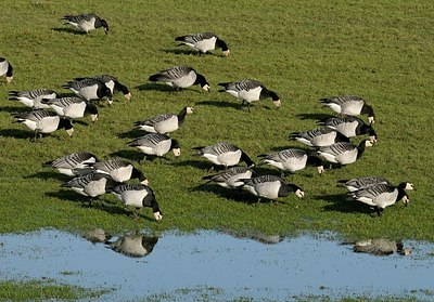 BUITEN BEELD Foto: 157807