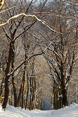 BUITEN BEELD Foto: 157849