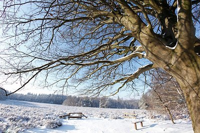 BUITEN BEELD Foto: 157857