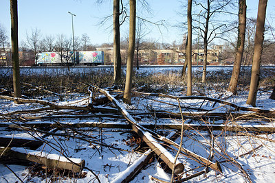 BUITEN BEELD Foto: 157870