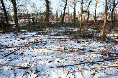 BUITEN BEELD Foto: 157872
