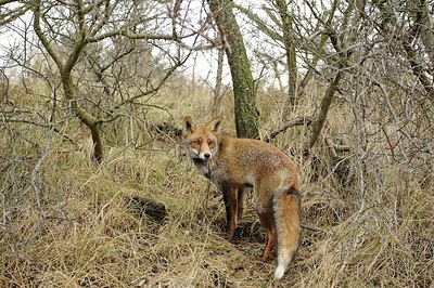 BUITEN BEELD Foto: 157891