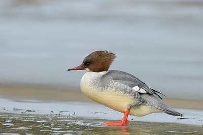BUITEN BEELD Foto: 157924