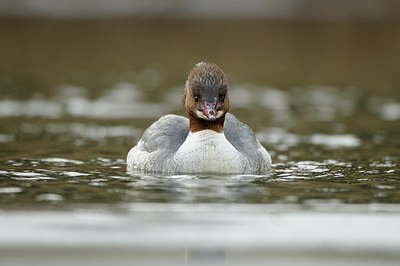 BUITEN BEELD Foto: 157926