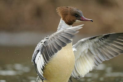 BUITEN BEELD Foto: 157927