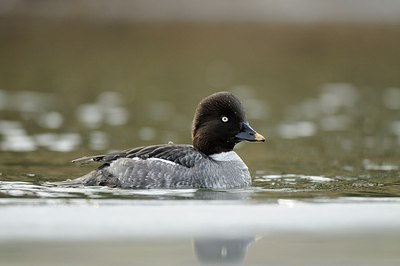 BUITEN BEELD Foto: 157963