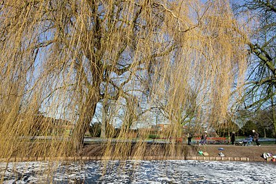 BUITEN BEELD Foto: 157980