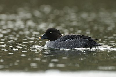 BUITEN BEELD Foto: 157989