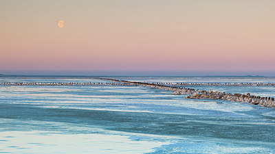 BUITEN BEELD Foto: 158002