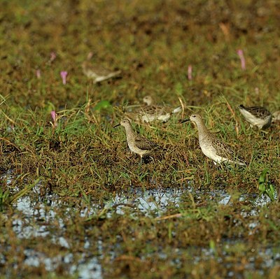 BUITEN BEELD Foto: 158003