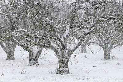 BUITEN BEELD Foto: 158035