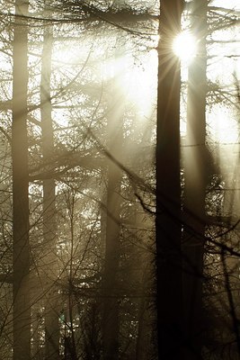 BUITEN BEELD Foto: 158052