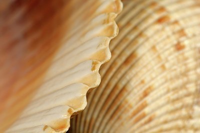 BUITEN BEELD Foto: 158056