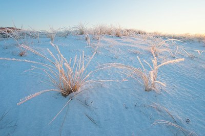 BUITEN BEELD Foto: 158166