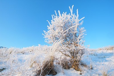 BUITEN BEELD Foto: 158181