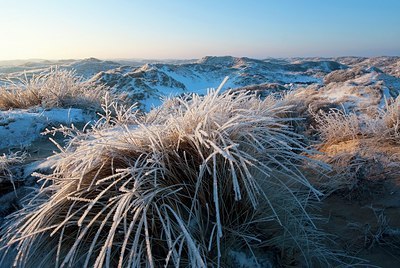 BUITEN BEELD Foto: 158185