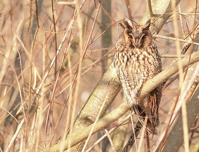 BUITEN BEELD Foto: 158201