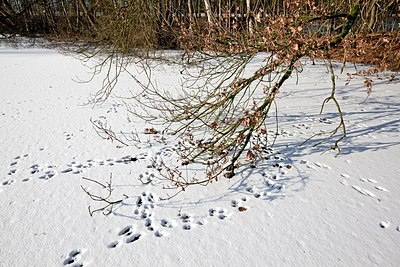 BUITEN BEELD Foto: 158206