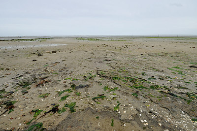 BUITEN BEELD Foto: 158228