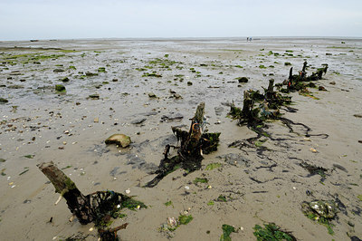 BUITEN BEELD Foto: 158229