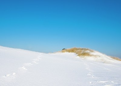 BUITEN BEELD Foto: 158264
